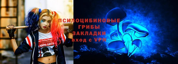 МДПВ Аркадак