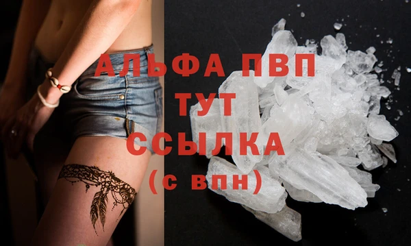 шишки Алексин
